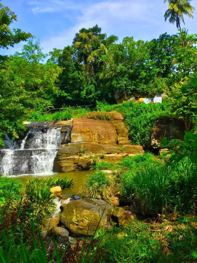 Jungle Tide Kandy Exterior foto
