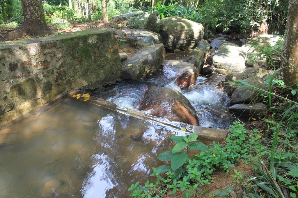 Jungle Tide Kandy Exterior foto